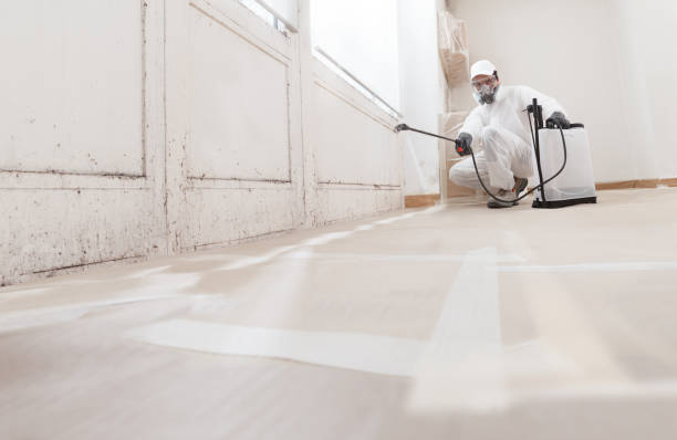 24/7 Emergency Attic Mold Removal experts in Lutherville Timonium, MD