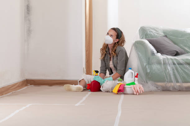 Reliable Attic Mold Removal contractor in Lutherville Timonium, MD by WQB Mold Removal