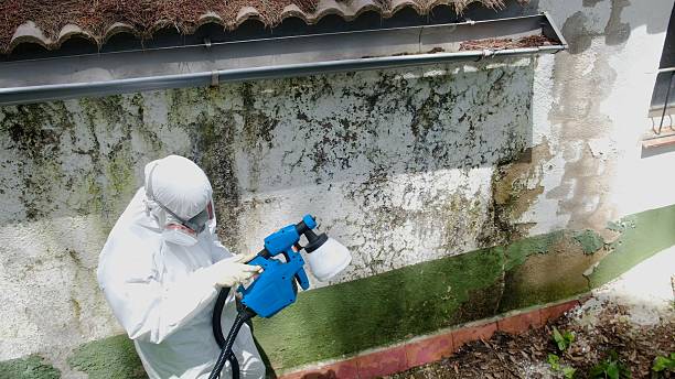 Top rated local Attic Mold Removal specialists in Lutherville Timonium, MD